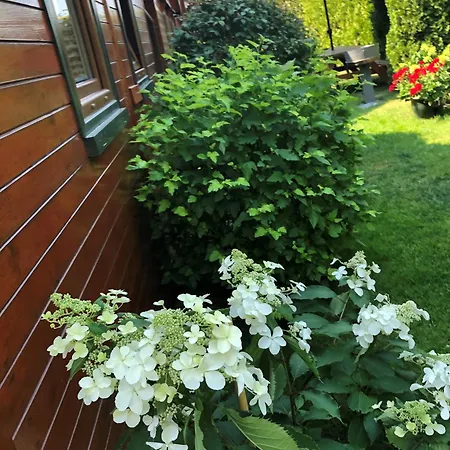 Letniskowe Katarzyna Дом отдыха Сарбиново