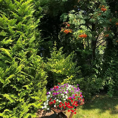 Letniskowe Katarzyna Holiday home