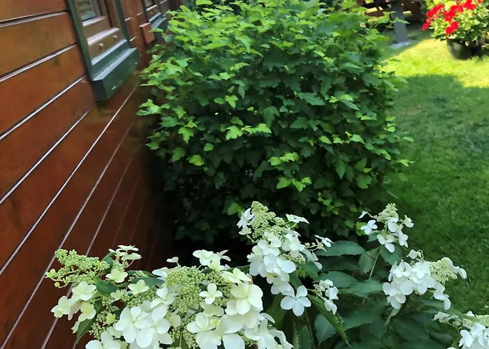 Letniskowe Katarzyna Semesterbostad Sarbinowo