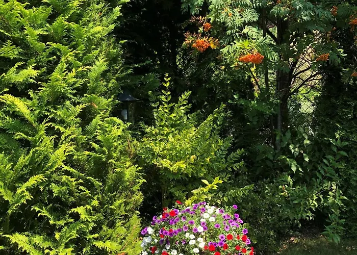 Letniskowe Katarzyna Semesterbostad